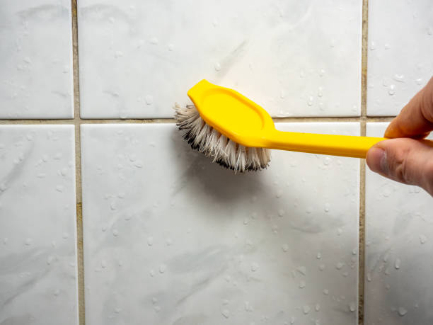 Trusted Antlers, OK Mold Remediation Experts